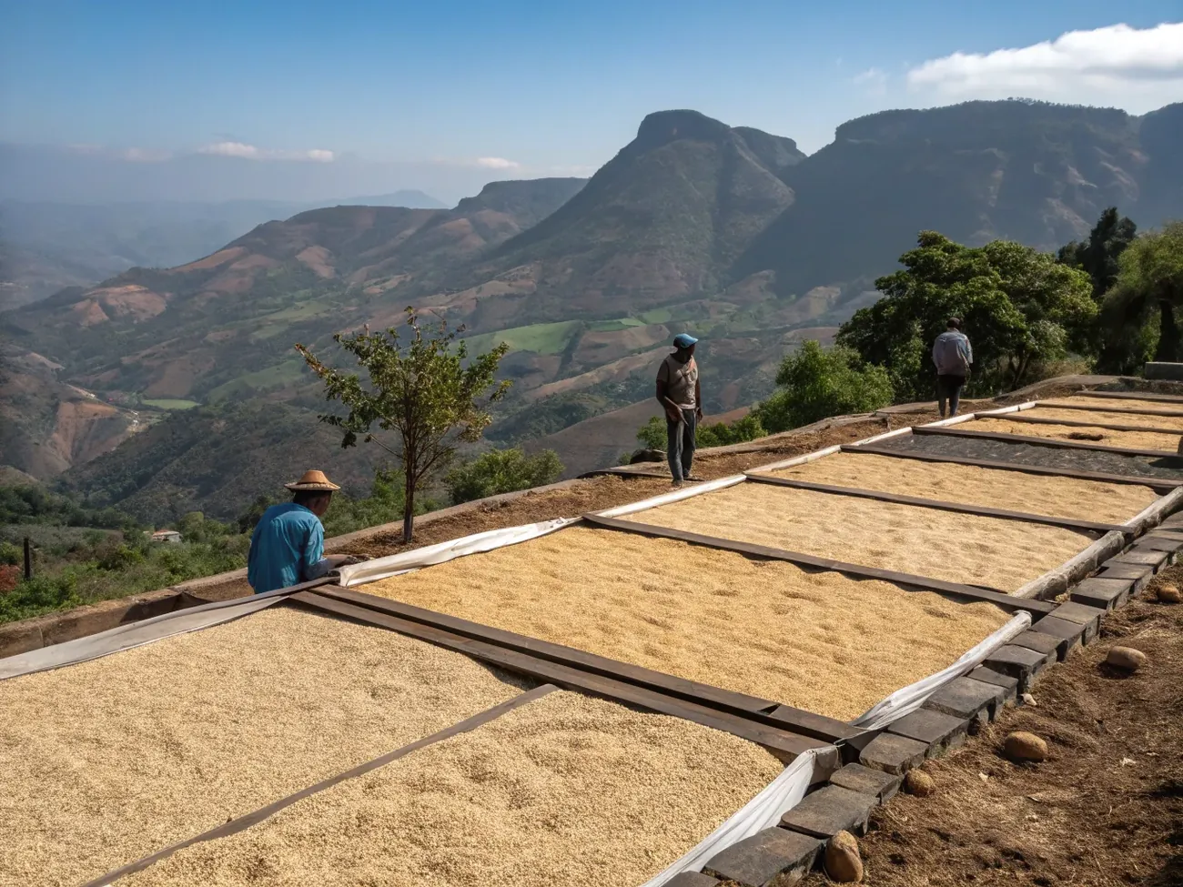 3. Сушка на raised beds