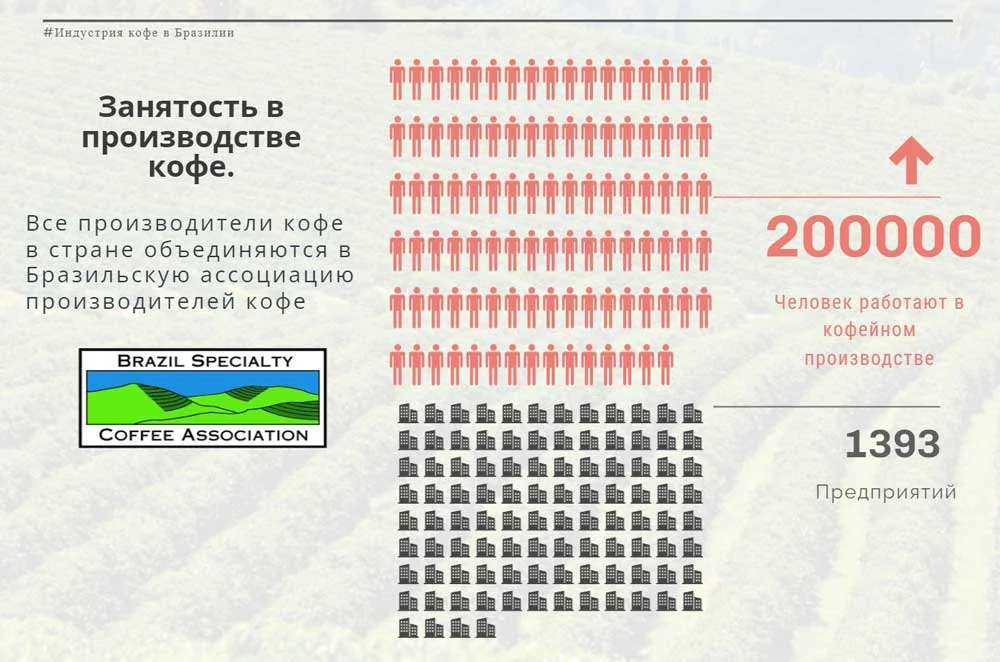Бразильская ассоциация производителей кофе — 200 000 занятых, 1393 предприятия