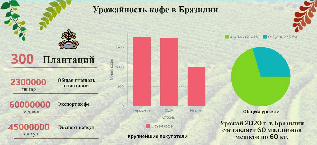 Урожайность кофе в Бразилии — 60 миллионов мешков, 70.41% арабика и 29.59% робуста, главные импортёры Германия, США, Италия