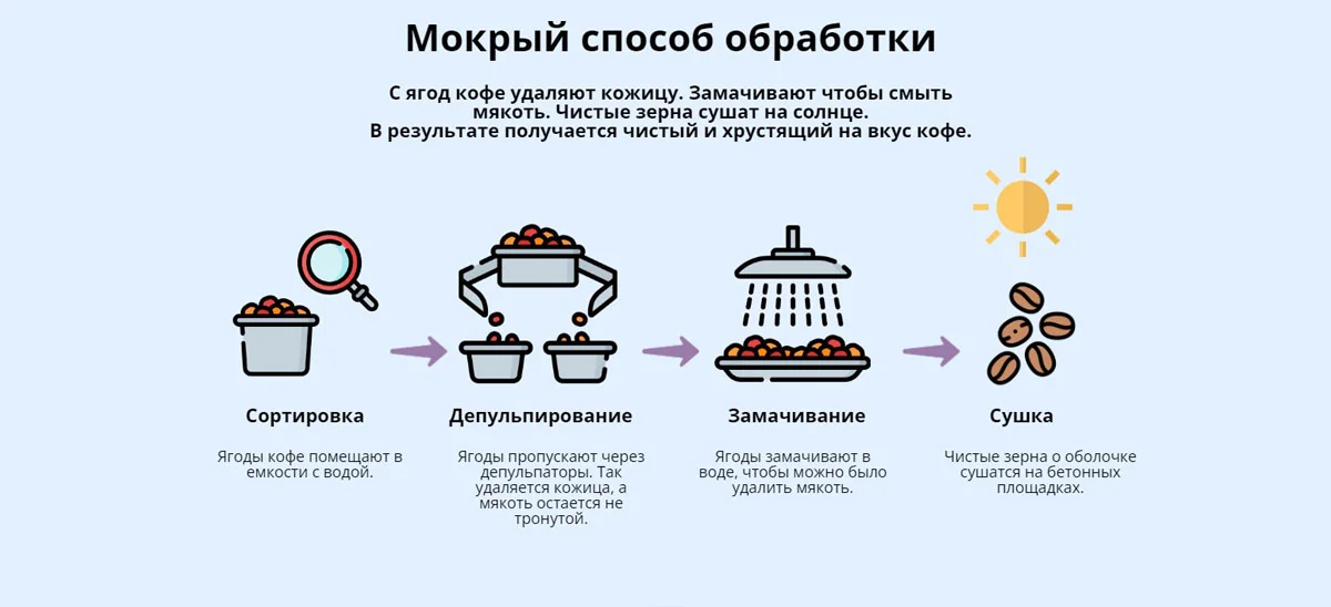 Влажный (мытый) метод обработки индийского кофе — сортировка, депульпирование, замачивание, сушка