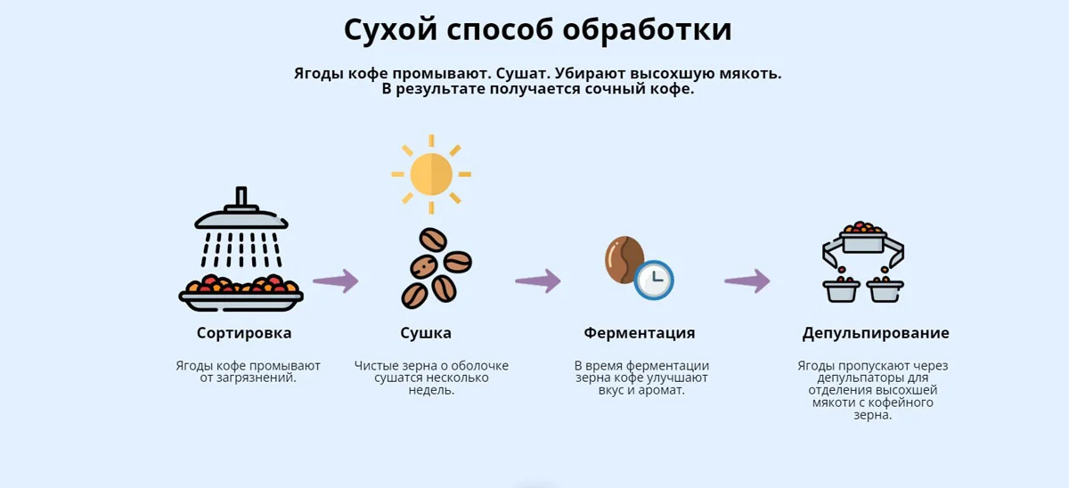 Сухой (натуральный) метод обработки кофе — сортировка, сушка, ферментация, депульпирование