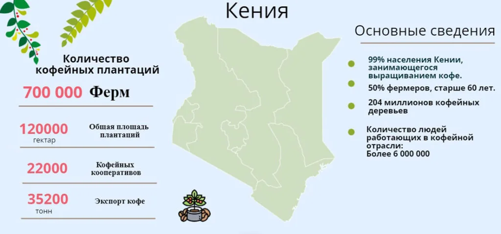 Кофейные плантации Кении — общий вид, склоны горы Кения